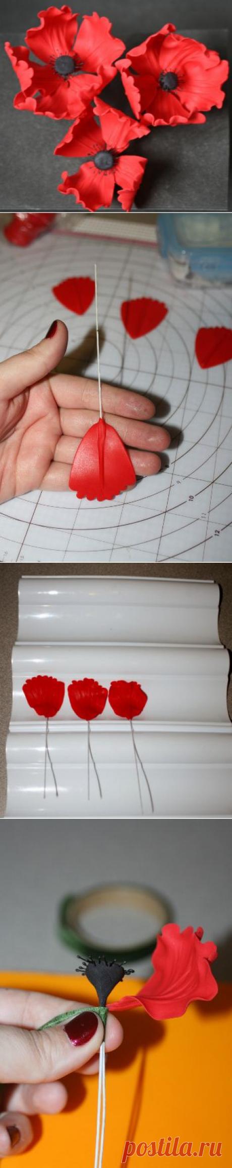 Как сделать маки из мастики | Уроки лепки