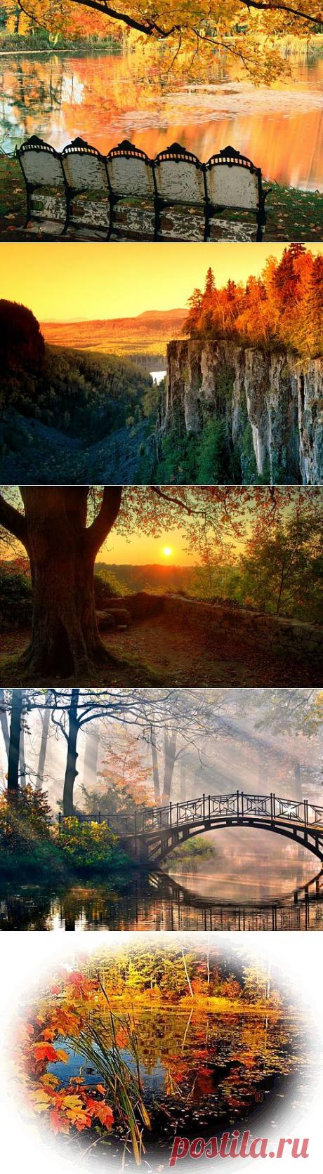 Осень. Красивые фото, стихи, музыка.