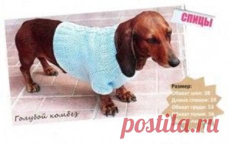 ДЛЯ СОБАК | Записи в рубрике ДЛЯ СОБАК | Дневник Копушка