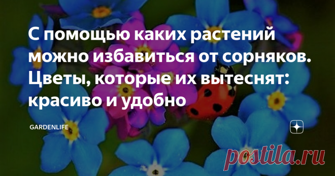 С помощью каких растений можно избавиться от сорняков. Цветы, которые их вытеснят: красиво и удобно Каждый садовод мечтает о цветниках и клумбах, которые бы не потребовалось постоянно полоть. Избавить себя от лишнего труда можно, высадив определенные растения, которые не дадут прорастать сорнякам. Эшшольция – очень яркий и неприхотливый почвопокровник. Сможет расти на любых участках и даже без полива. Но самое главное, она довольно быстро и густо разрастается, покрывая соб...
