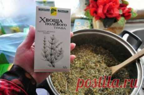 Чудо-травка для волос 

Хочу поделиться с Вами одной удивительной травкой, которая очень, ну просто очень благотворно влияет на волосы-это хвощ полевой. Благодаря тому, что хвощ полевой содержит кремневую кислоту и ее соли, он очень эффективно влияет на состояние наших волос.
Показать полностью…