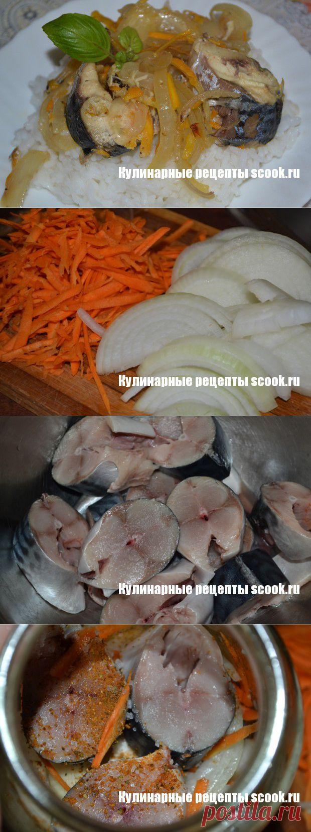Скумбрия в банке.