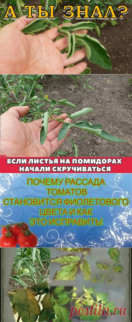 (1) Одноклассники