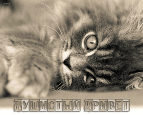 Музыкальная страничка...