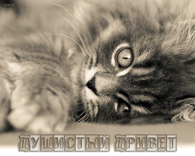 Музыкальная страничка...
