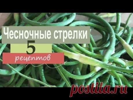 Чесночные стрелки. 5 рецептов приготовления: заготовки на зиму, гарнир, масло, с яйцом