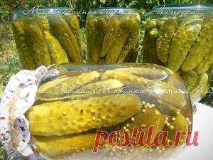 Маринованные огурчики по-венгерски — Женский блог