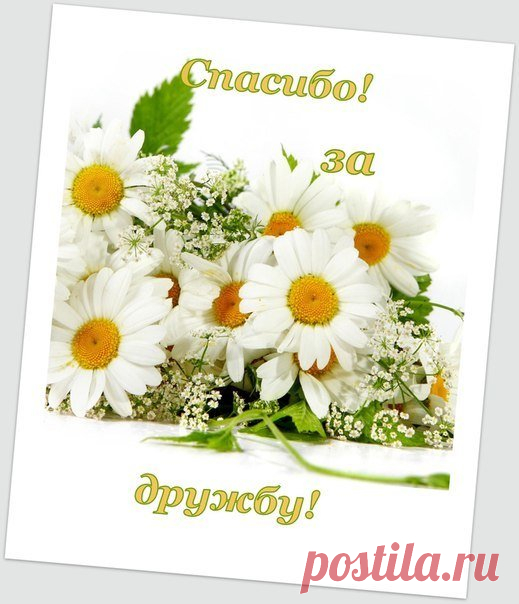 картинка с благодарностью подруге: 20 тыс изображений найдено в Яндекс.Картинках