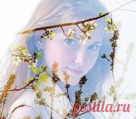 Сердца людей соединяют звёзды,
Их судьбы пишутся на небесах.
А мир земной, что чувствами наполнен,
Душевным светом отражается в глазах.
И если злость и зависть сердце наполняют,
Тускнеют звёздочки в душевных зеркалах.
И разноцветными огнями мир вокруг сияет,
Когда любовь и искренность в сердцах.
У каждой звёздочки свои есть половинки,
Соединённые в невидимых мирах.
И падают они, как будто Ангелов слезинки,
Когда святые чувства мы превращаем в прах.