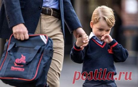 ПОВОД (Папе браво!)