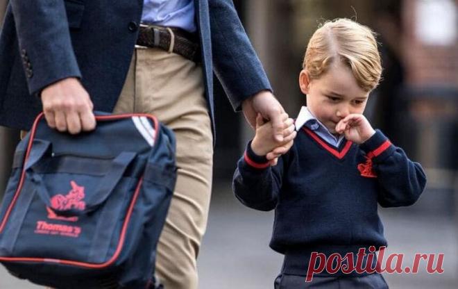 ПОВОД (Папе браво!)