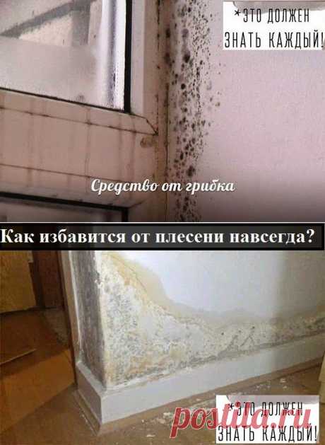 Средство от грибка