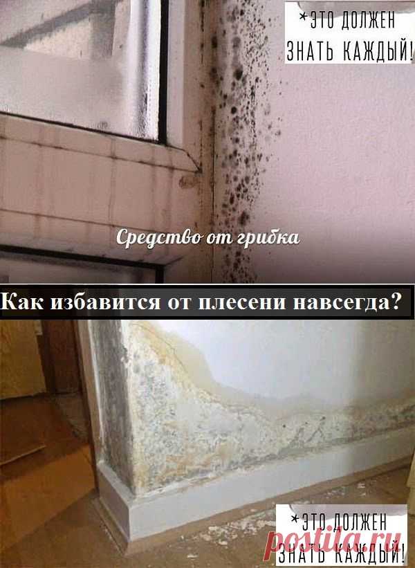 Средство от грибка