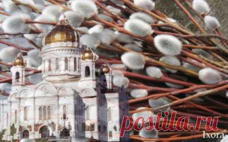 Что нельзя делать в Вербное Воскресенье?