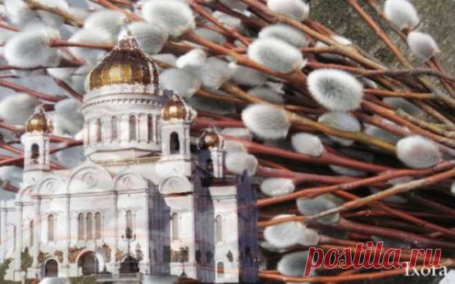 Что нельзя делать в Вербное Воскресенье?