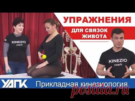 Упражнения для центрирования связок брюшной полости. Глеб КИРДОГЛО