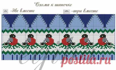 Яндекс.Фотки
