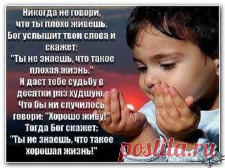 Почему чернеют листья и цветы у спатифиллума