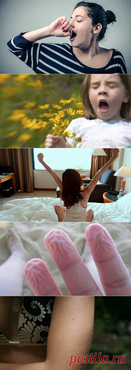 9 защитных систем нашего организма.