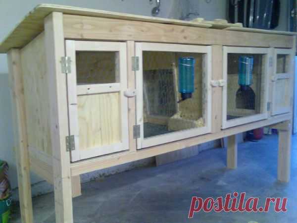 Как сделать хорошую клетку для кроликов своими руками - советы