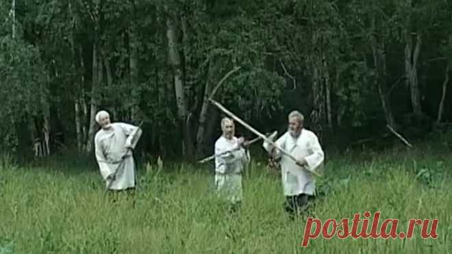 КОСАРИ НА ЛУГУ