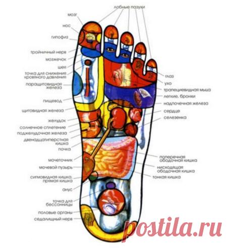 Как массажем стопы снять напряжение в спине