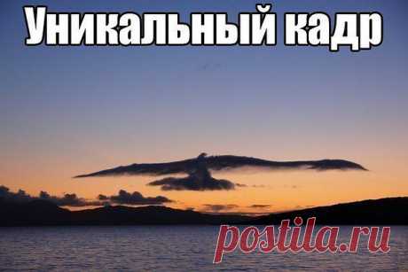 Ольга: Люби того, кем сердце дышит, кем мысли заняты всегда, того кого глаза повсюду ищут, того кого забыть нельзя!!!!!