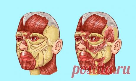 Как выглядеть моложе с помощью японского массажа / Все для женщины