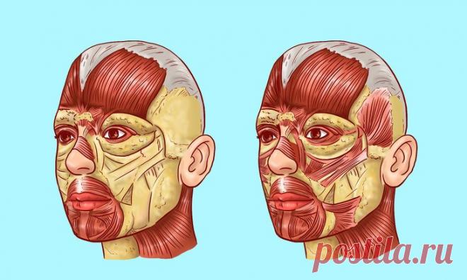 Как выглядеть моложе с помощью японского массажа / Все для женщины