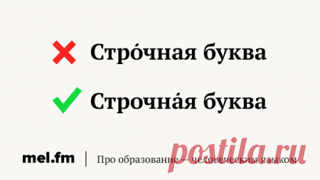 11 коварных ошибок в ударениях, которые выставляют нас дураками | Мел