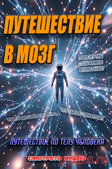 Путешествие по телу человека. Исследуем мозг!

Совершите невероятное путешествие внутрь себя! 
Мы уменьшимся до микроскопических размеров, чтобы исследовать кровеносную систему и нейронные сети вашего мозга.
🔬 Узнайте, как работают нейроны и синапсы, и как электрические импульсы обеспечивают мышление и управление телом.
Смотрите это познавательное и интересное видео!)