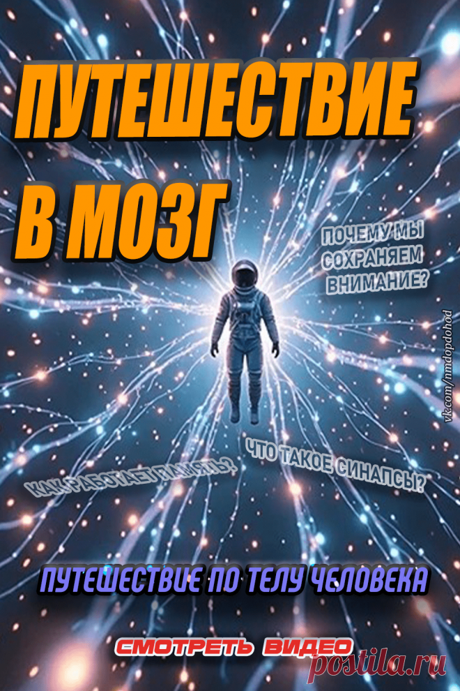 Путешествие по телу человека. Исследуем мозг!

Совершите невероятное путешествие внутрь себя! 
Мы уменьшимся до микроскопических размеров, чтобы исследовать кровеносную систему и нейронные сети вашего мозга.
🔬 Узнайте, как работают нейроны и синапсы, и как электрические импульсы обеспечивают мышление и управление телом.
Смотрите это познавательное и интересное видео!)