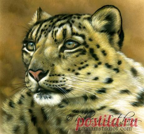 Загляните в студию — 8 января 2013 г. | Картины дикой природы и природы Ребекки Лэтэм