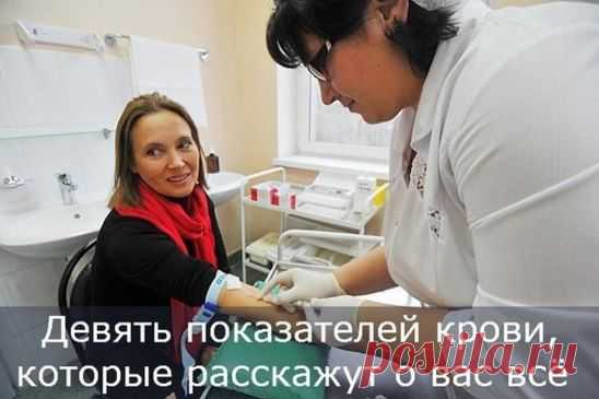 АНАЛИЗ КРОВИ