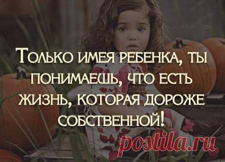 Сохранённые фотографии | 1 490 фотографий