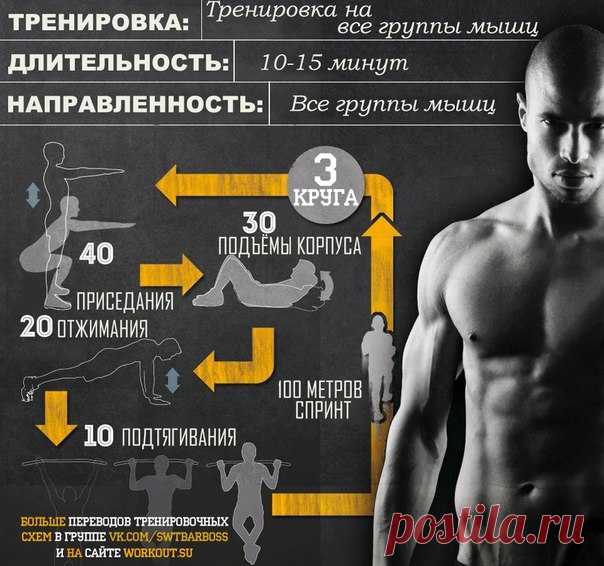 Переводы тренировочных программ от Tribe Sport. / Здоровая семья