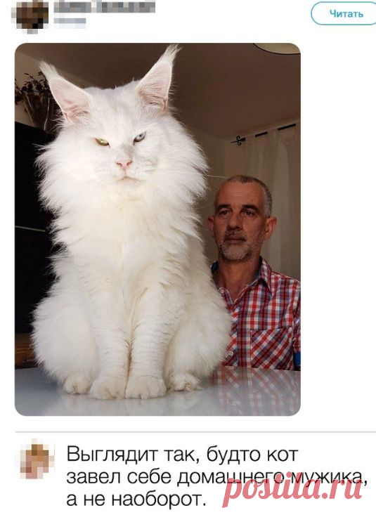 (4) Мой Мир@Mail.Ru