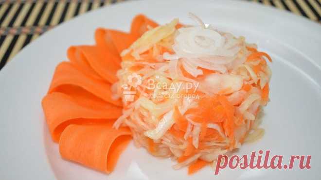 Лучшие рецепты из капусты, салаты, закуски, фото