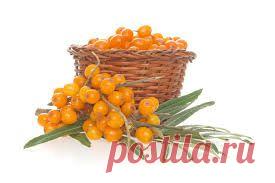 Как сделать облепиховое масло