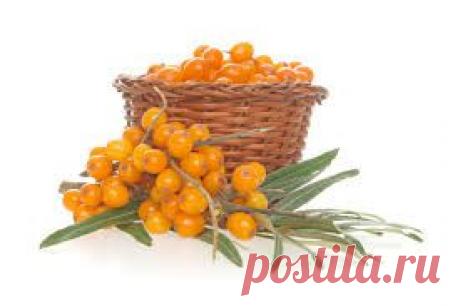 Как сделать облепиховое масло