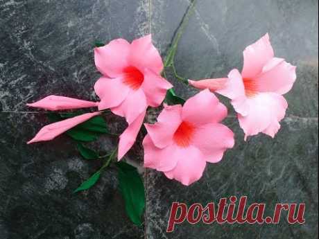 Paper Flowers Mandevilla \ Rocktrumpet (flower # 123)