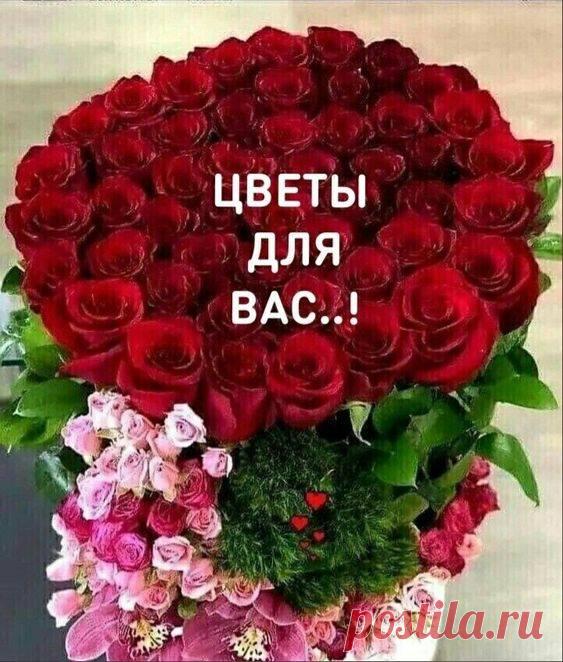 (20+) Иришка Пок | Facebook