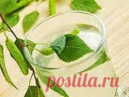 Березовый сок от люмбаго уберег | Друг пенсионера
Березовый сок я люблю с детства. Когда-то для нас, детишек, это был праздник — начало сокодвижения. Мы с отцом ходили, выбирали дерево, брали понемногу сока, чтобы не на­вредить дереву