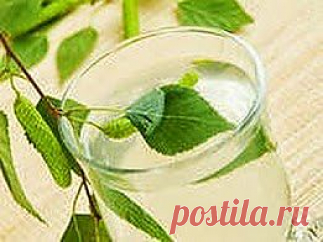 Березовый сок от люмбаго уберег | Друг пенсионера
Березовый сок я люблю с детства. Когда-то для нас, детишек, это был праздник — начало сокодвижения. Мы с отцом ходили, выбирали дерево, брали понемногу сока, чтобы не на­вредить дереву