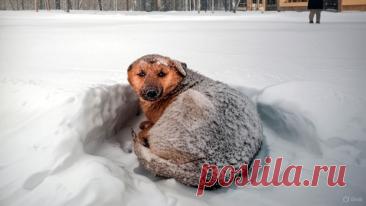 Подарки - OGADANIE.RU