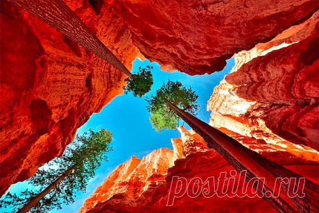 Путешествие с Lonely Planet
