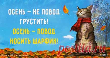 Осень — не повод грустить!