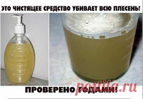 ЭТО ЧИСТЯЩЕЕ СРЕДСТВО УБИВАЕТ ВСЮ ПЛЕСЕНЬ! ПРОВЕРЕНО ГОДАМИ!