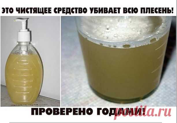 ЭТО ЧИСТЯЩЕЕ СРЕДСТВО УБИВАЕТ ВСЮ ПЛЕСЕНЬ! ПРОВЕРЕНО ГОДАМИ!