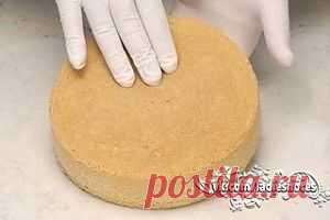 Как приготовить бисквит (основные рецепты)